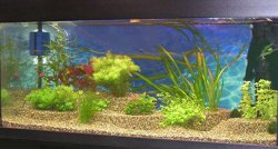 Anwendungsbeispiel 2 Anwendungsbeispiel 2